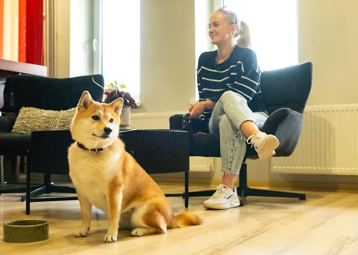 Tamme Staadioni * Tartu